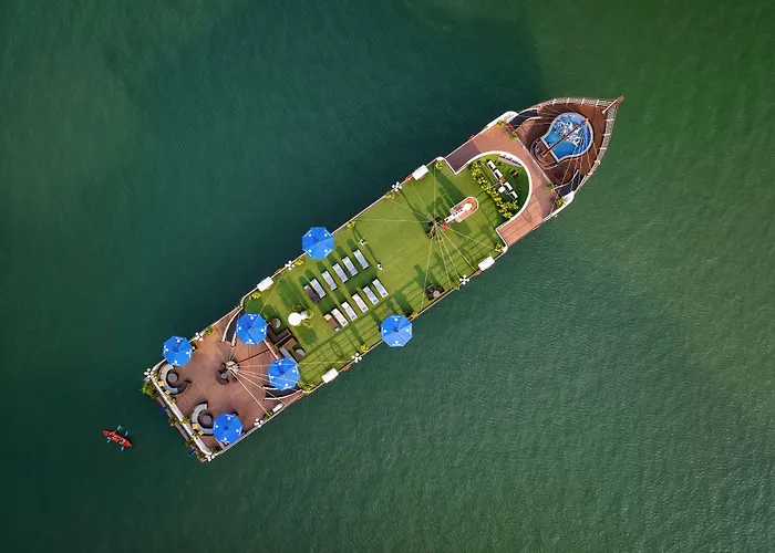 Rosa Cruise 5*